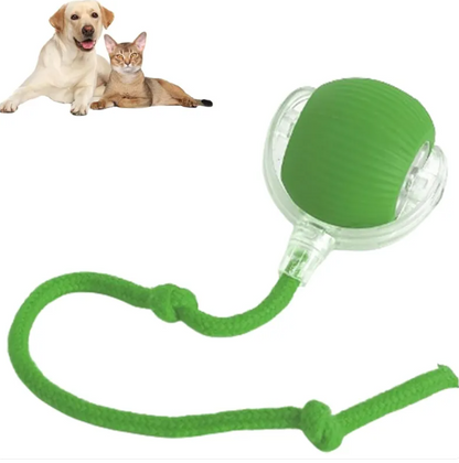 Pelota interactiva para mascotas