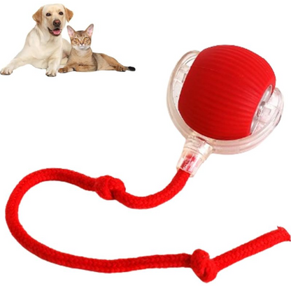 Pelota interactiva para mascotas