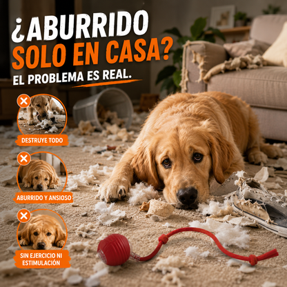 Pelota interactiva para mascotas