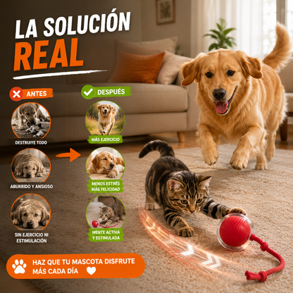 Pelota interactiva para mascotas