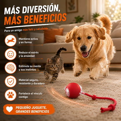 Pelota interactiva para mascotas