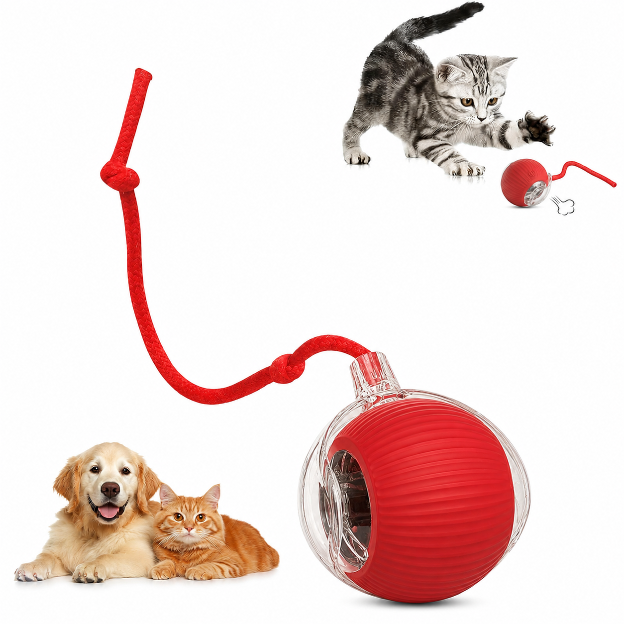 Pelota interactiva para mascotas