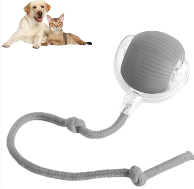 Pelota interactiva para mascotas