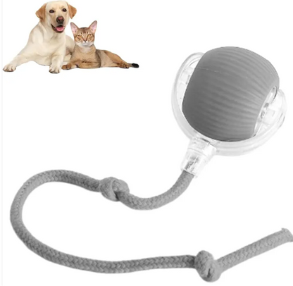 Pelota interactiva para mascotas
